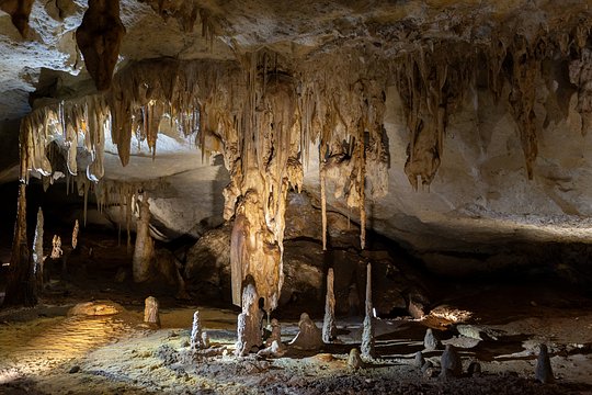 Explore Naracoorte Caves National Park