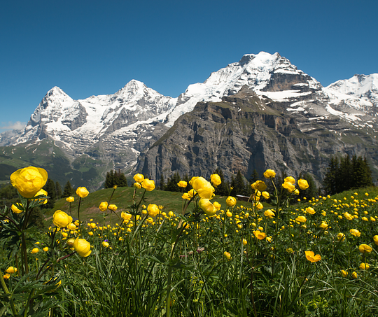 SWITZERLAND BY FOOT