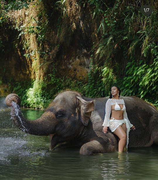 Elephant Safari