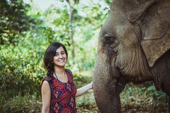 Thailand elephants showing love to female solo traveller
