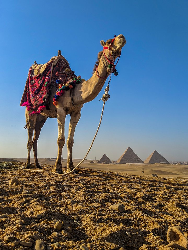 mohamednafeaNZCzkolx9Iunsplash