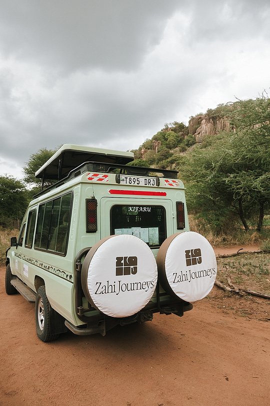 Exclusive Safari Adventure: