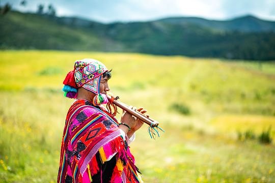 shamanichealer