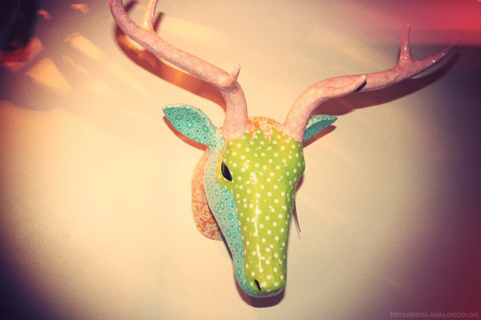 8_25_deerhead11