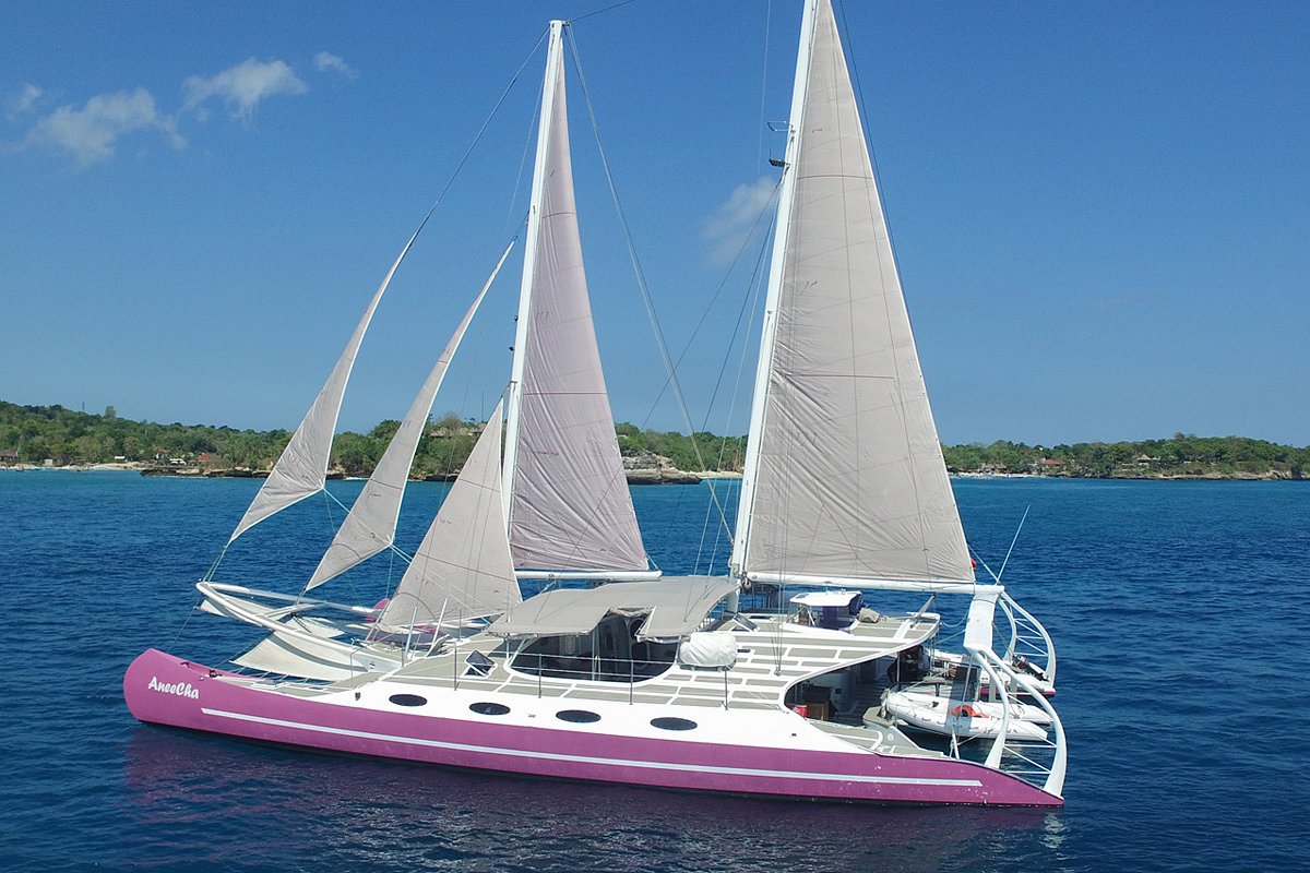 Ludih Yacht Party