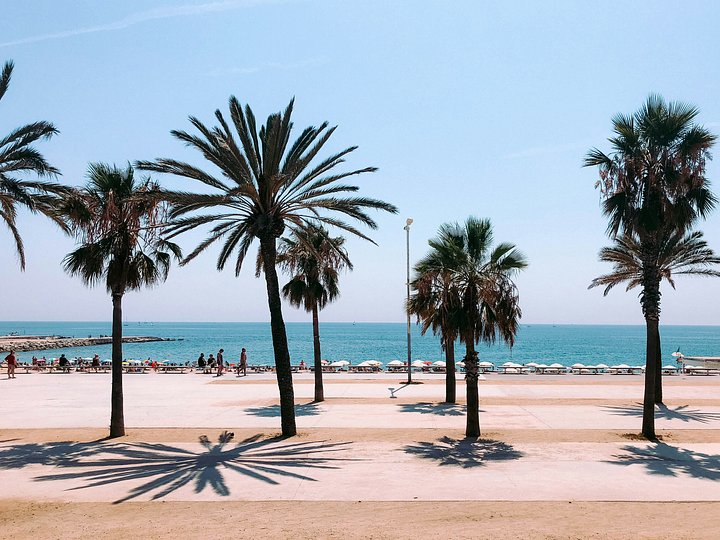 lucreziacarnelosBG8TvW6NYYwunsplash