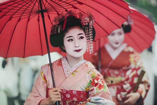 Delight in a private Maiko dinner experience