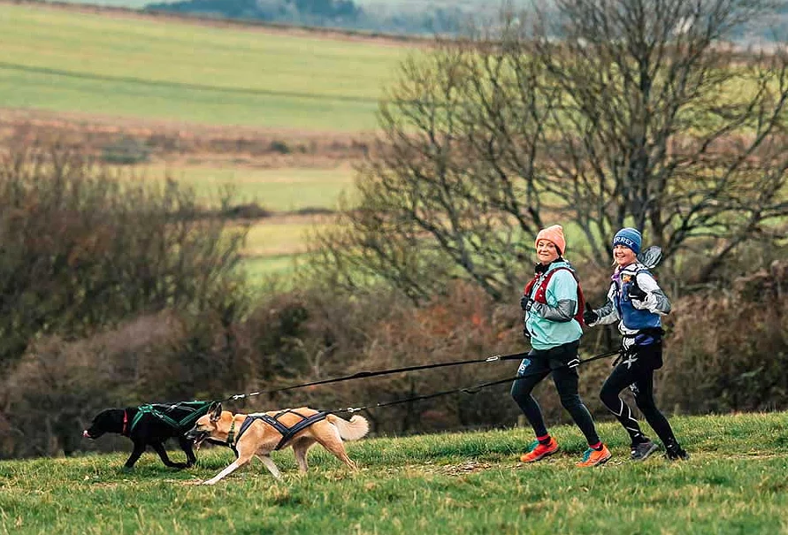  Peace of mind that you’re doing the right thing for your dog, with Pooch & Mutt