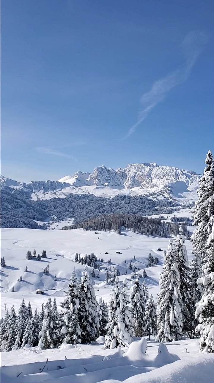 dolomites