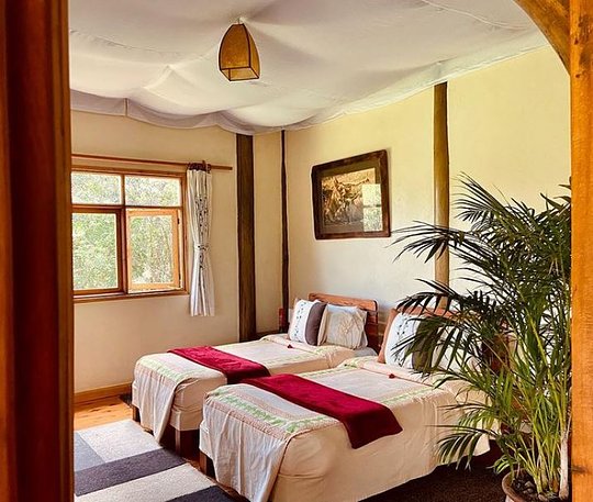 Triple Occupancy Room