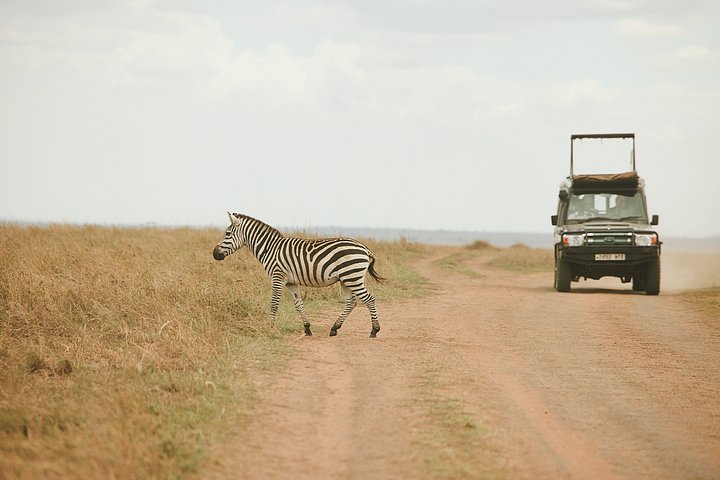 HR_TANZANIA_ZAHIJOURNEYS_2024_9362
