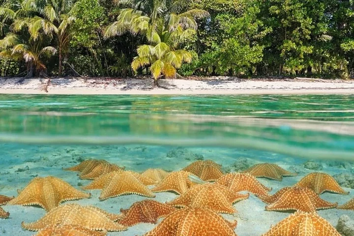 PlayaEstrellaBocasdelToroPanama4