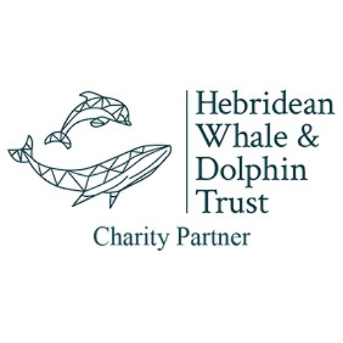 HWDTLogo