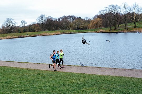 Explore Hampstead Heath, London