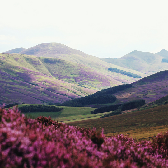 Explore the Pentland Hills