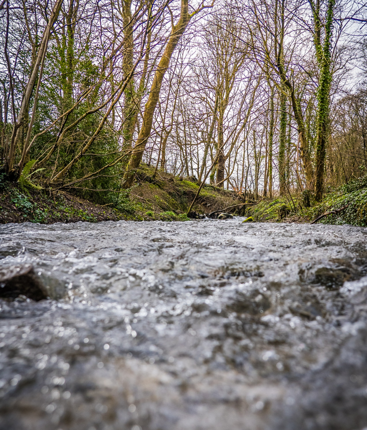 unsplash_NPiX898FFNc