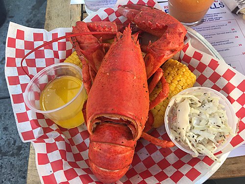 lobster1