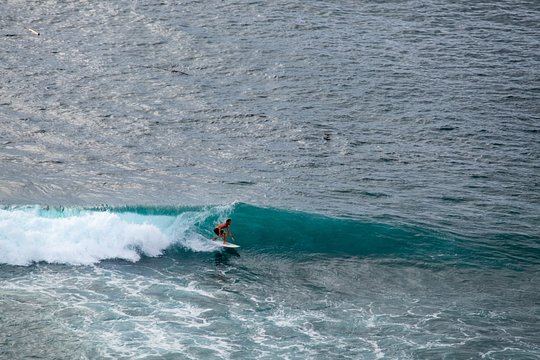 Surf the Waves