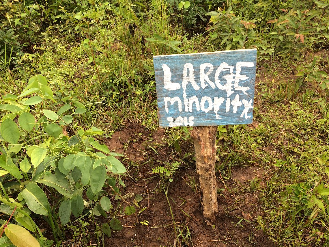 ResponsibleTravelLM53