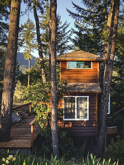 The Tree House Bedroom
