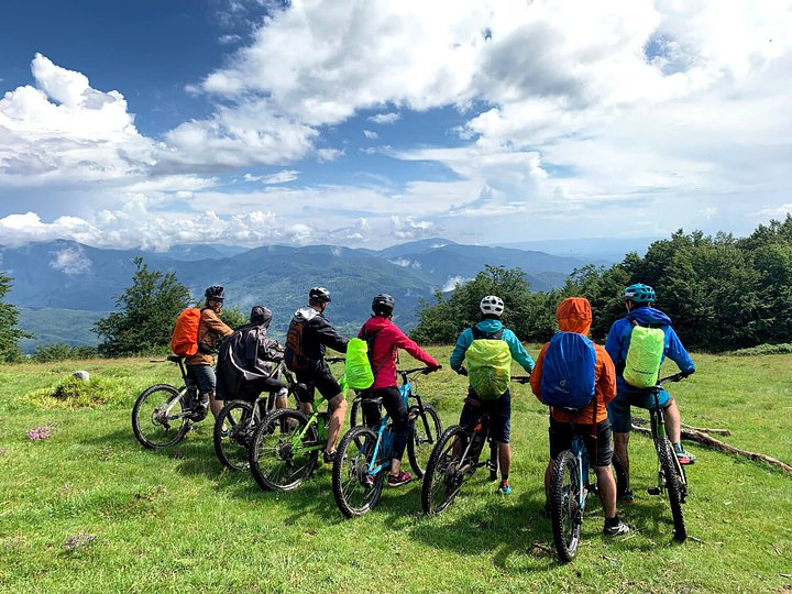bisonebike2