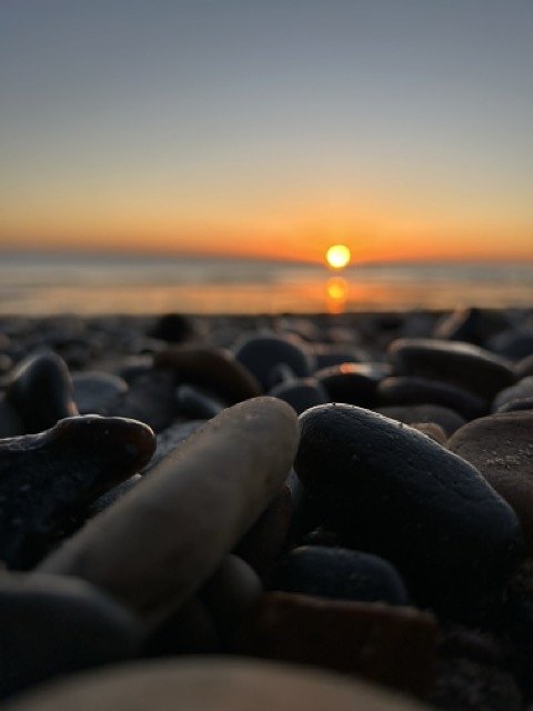 IMG_5264Medium