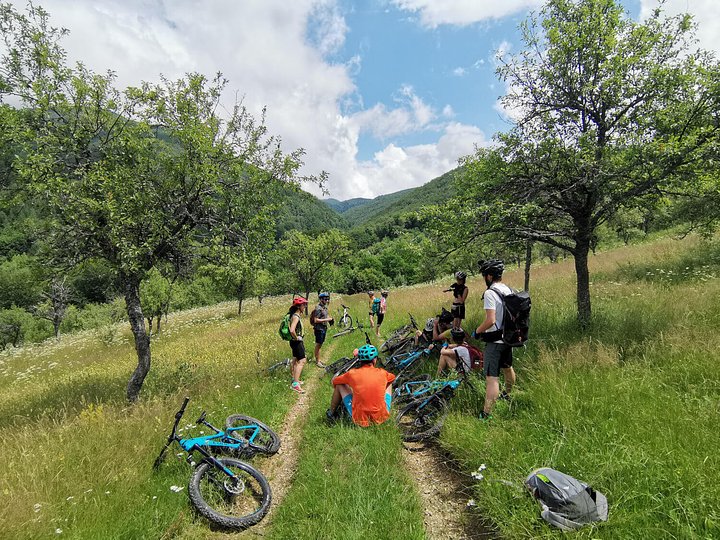 bisonebike15