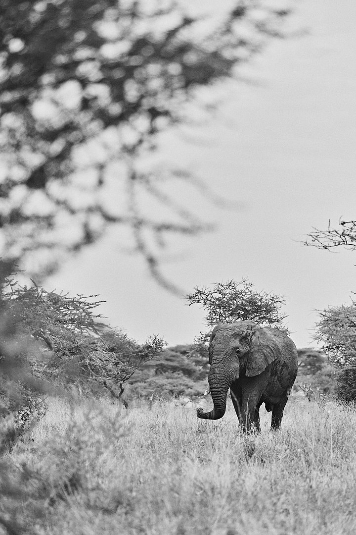 HR_TANZANIA_ZAHIJOURNEYS_2024_1221