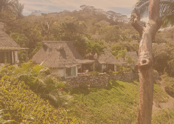 Luxurious High Design. Where the Jungle Meets the Ocean.