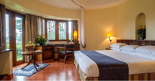 Single Room (Queen or King)
